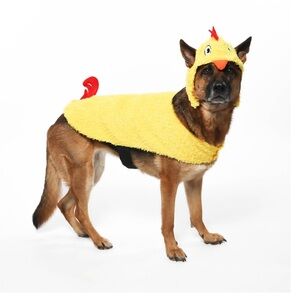 Vibrant Life Chicken Costume for Dogs Size Medium 2-Pc Yellow Fuzzy